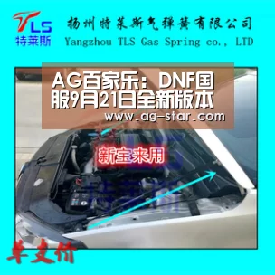 AG真人