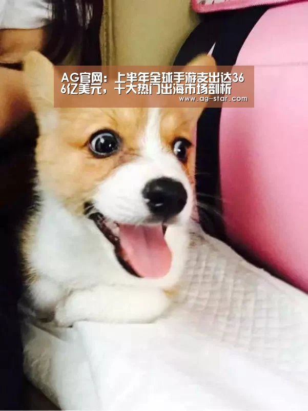 AG官网:上半年全球手游支出达366亿美元,十大热门出海市场剖析(图1) AG娱乐